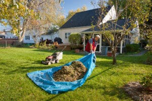 Tarps can be used for all sorts of chores around the house